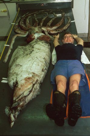 cfer-lying-e photo from smithsonianmag.com