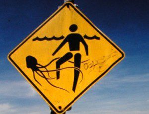 Sign on beach in Australia. Credit: Dr. Jamie Seymour, James Cook University