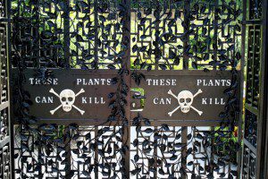 Gates of The Poison Garden at Alnwick