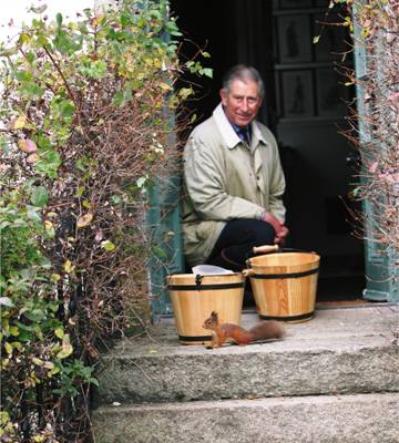 HRH THE PRINCE OF WALES, PATRON, THE RED SQUIRREL SURVIVAL TRUST