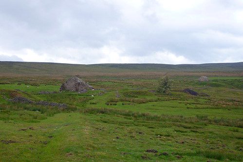 Allenheads, old house remains