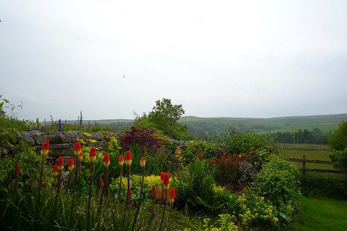 Julia Bartons garden