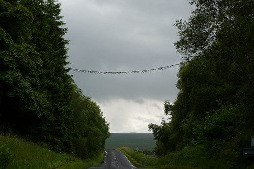 A squirrel ladder