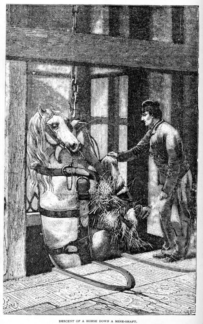Pit pony being lowered into a mine