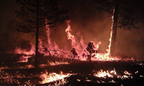 A wildfire in the Gila National Forest in New Mexico has burned more than 216,000 acres.